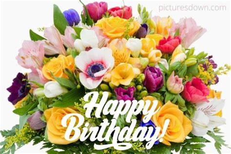 happy birthday bild blumen|Happy Birthday Blumen Photos and Images